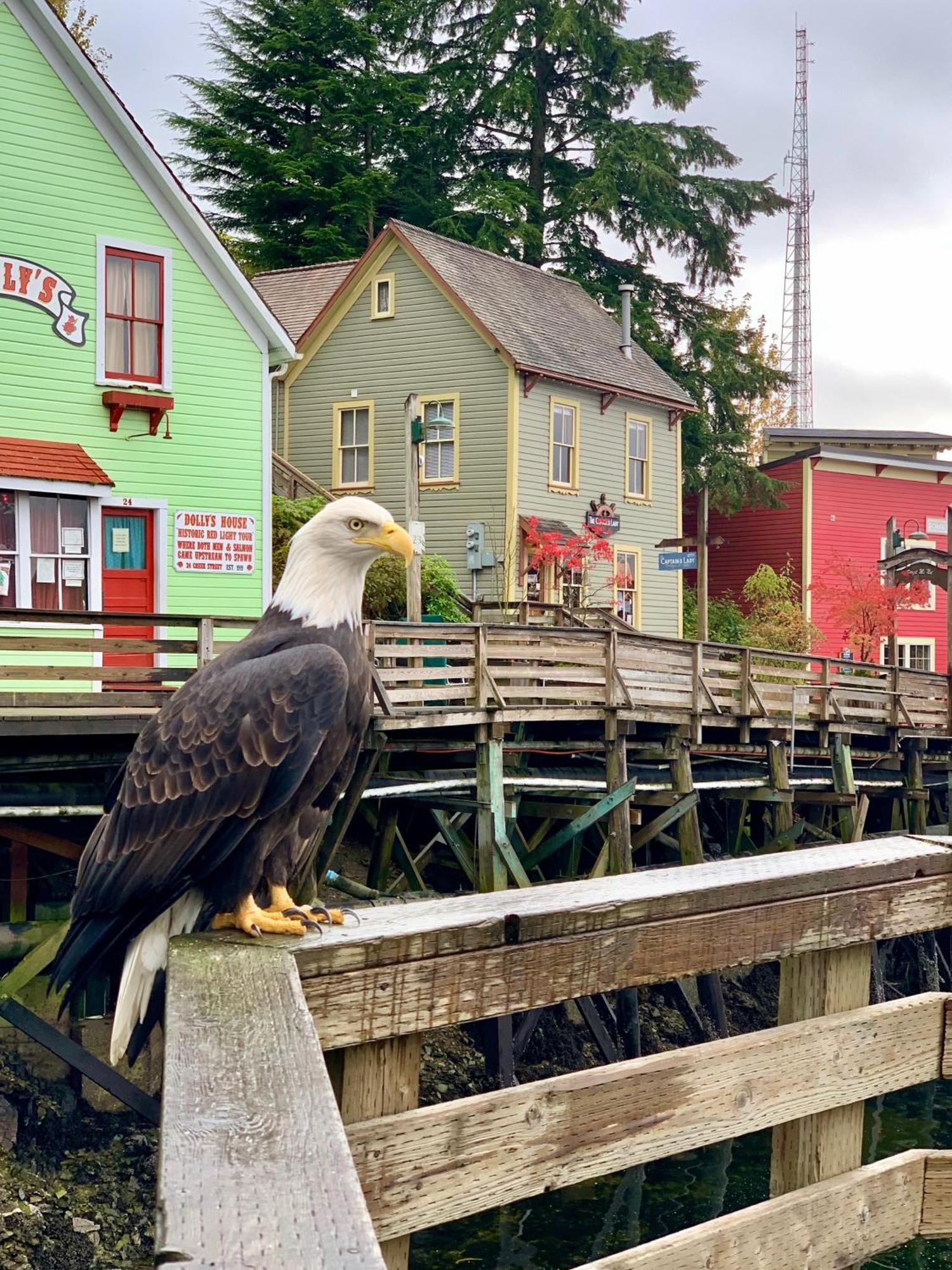 Inn At Creek Street Ketchikan Extérieur photo